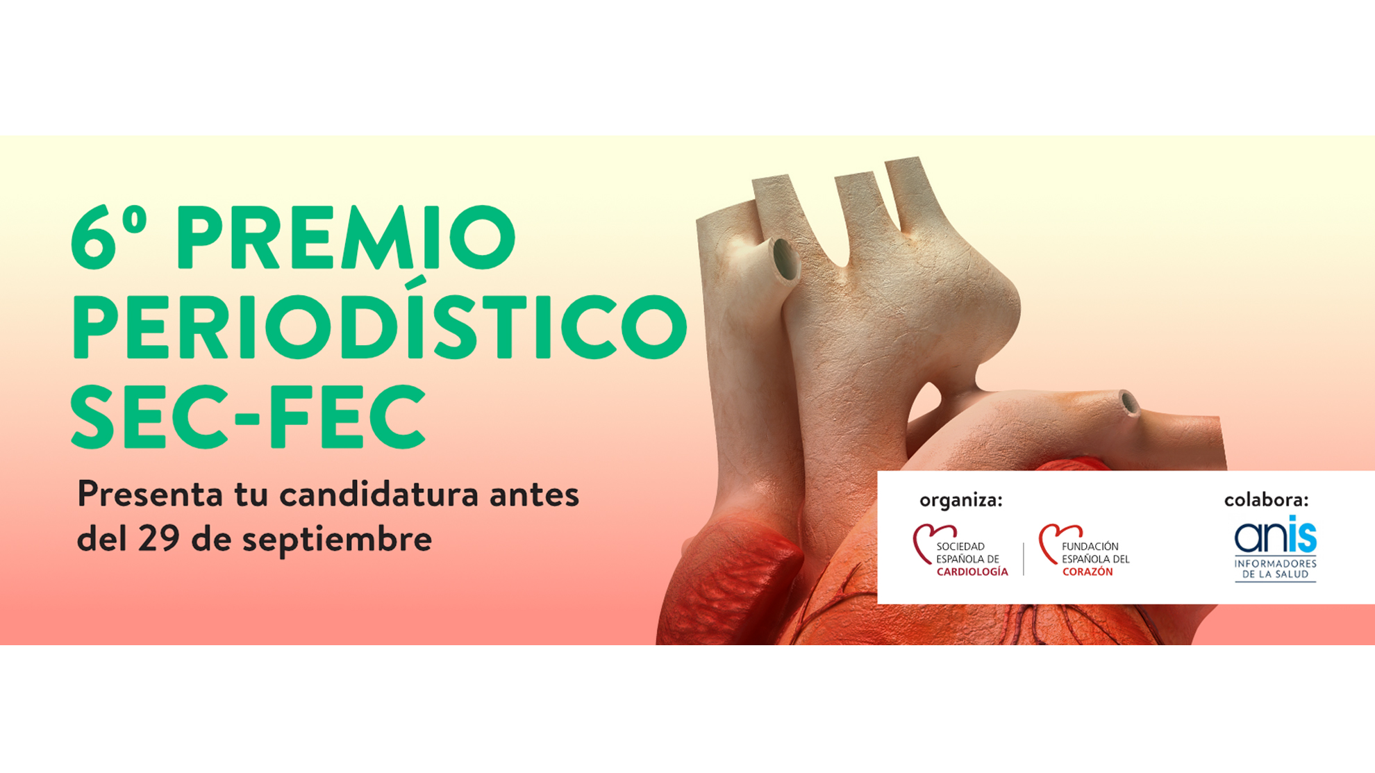 Abierto el plazo de envío de candidaturas al VI Premio Periodístico SEC-FEC