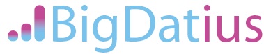 Bigdatius