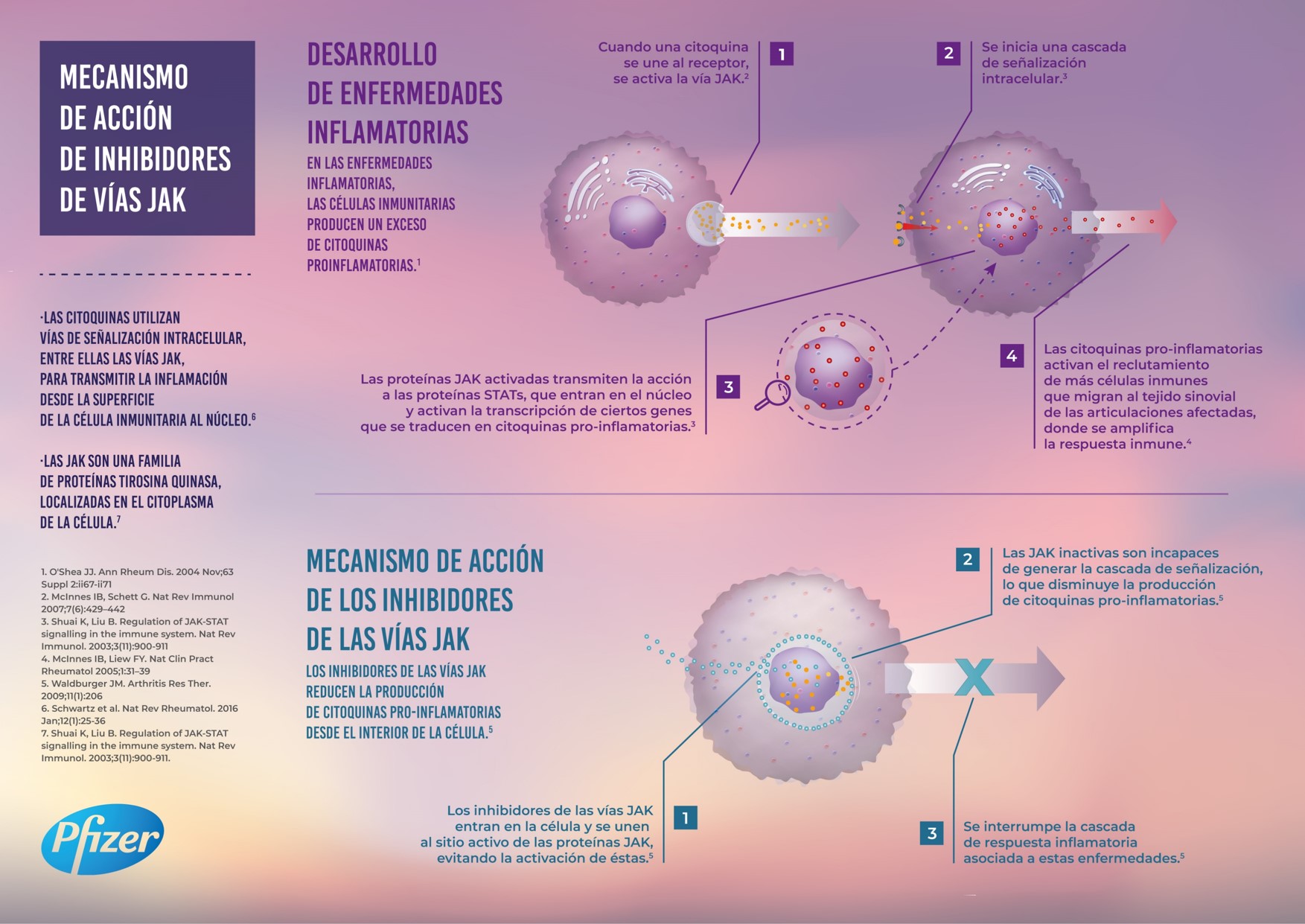 Infografía sobre la inhibición de las vías JAK