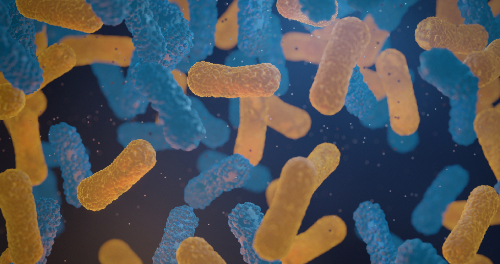 Synlab microbiomas