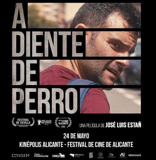 cartel película b