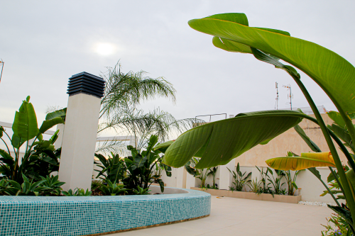 terraza luz casaverde mayores N