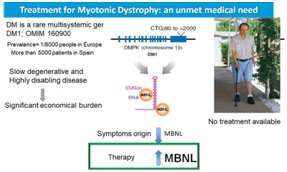 Antisense RNA therapeutics in Myotonic Dystrophy